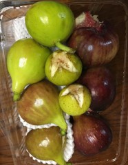 【お題日記】今年、ウナギ食べた？