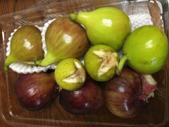 【お題日記】失神するくらい感じたことある？