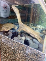 【お題日記】9月はどれくらいHした？