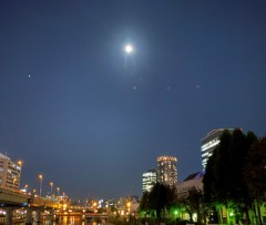 【お題日記】最近マスターしたこと