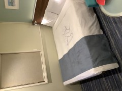 【お題日記】鞄の中っていつも整理されてる？