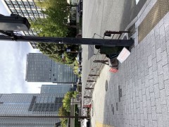 【お題日記】今年ラッキーだったこと