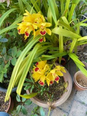 【お題日記】表で欲しいコミュニティー