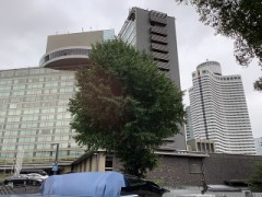 【お題日記】一番長かった旅行期間はどれくらい？