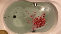 【お題日記】パートナーには出来ないけどセフレならOKなこと