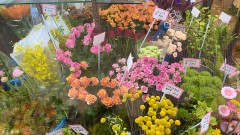 【お題日記】好きな人へのプレゼントは一人で選ぶ？