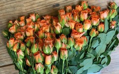 【お題日記】治したい変な癖