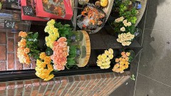 【お題日記】略奪経験ある？