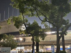 【お題日記】車を買う際に優先するもの