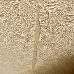 うちのニャンコ