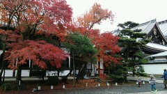 寒いですね(ToT)