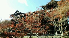 【お題日記】国内旅行でおすすめの場所