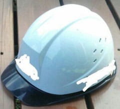 災害の備え、今でもしていますか?