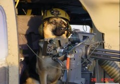 顔の見えない恐ろしさ…