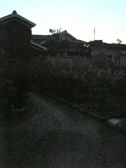 ソードフィッシュ！