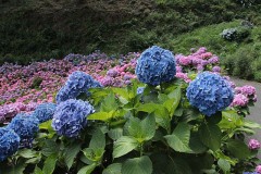 久々にデジログ更新（撮影旅行）