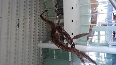 蒲郡に行ってきました