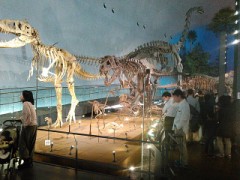 そりゃ、男の子はみんな好きです【お題日記】耳元で言われて弱い言葉