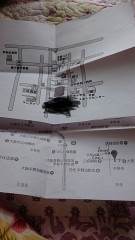 【お題日記】信頼関係とは？