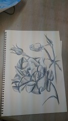 【お題日記】1番よく使うSNSは？