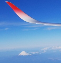 昨日から今日にかけて