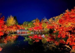 【お題日記】秋オススメのデートスポット