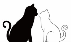 【お題日記】どんなふうに舐められたら気持ちいい？