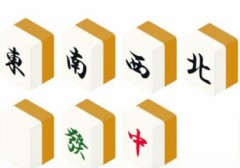 【お題日記】出会った人がパイパンでした