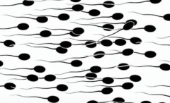 【お題日記】●●●には自信持ってます!!