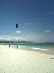 現実逃避…f(^^;