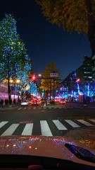 御堂筋も冬化粧(*^^*)