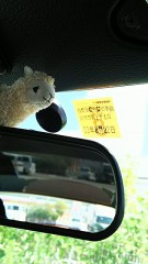 2年に一度のお仕置き(。>д<)