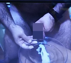 調教報告