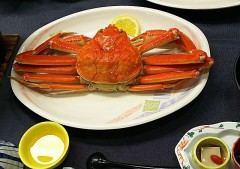 【お題日記】連休はどう過ごす？