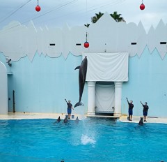 久しぶりのスマスイ(*^^*)