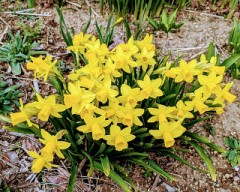 〈女教師の悲劇〉其の二