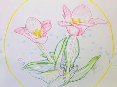 【お題日記】ホワイトデーのお返しは手作り派？購入派？