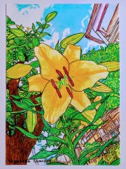 神話【バッカスの酒】