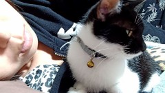 ありがとうございます。