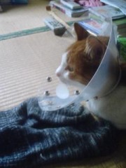 昨日不思議なことが…