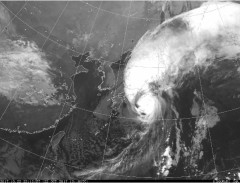 赤外線映像入手