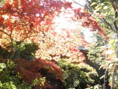 前回のログ　すませんｗ