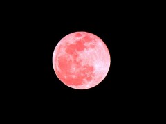 【お題日記】大人になっても欲しいもの