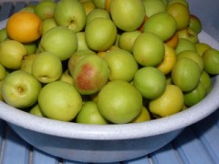 雨天のすき間に