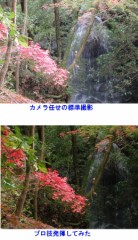 【お題日記】緊縛の経験ある？