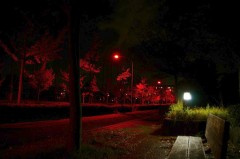 またデジイチ買っちゃった