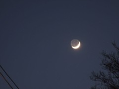 裏ネタじゃない地球照　リベンジ