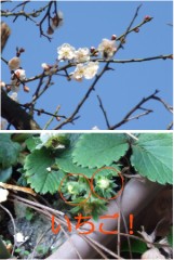 【お題日記】お風呂にいつも持ち込んでる物