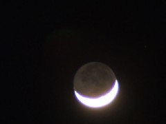 【お題日記】義務教育であればよかったなと思うもの