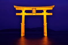 【お題日記】こんな映え写真撮りました